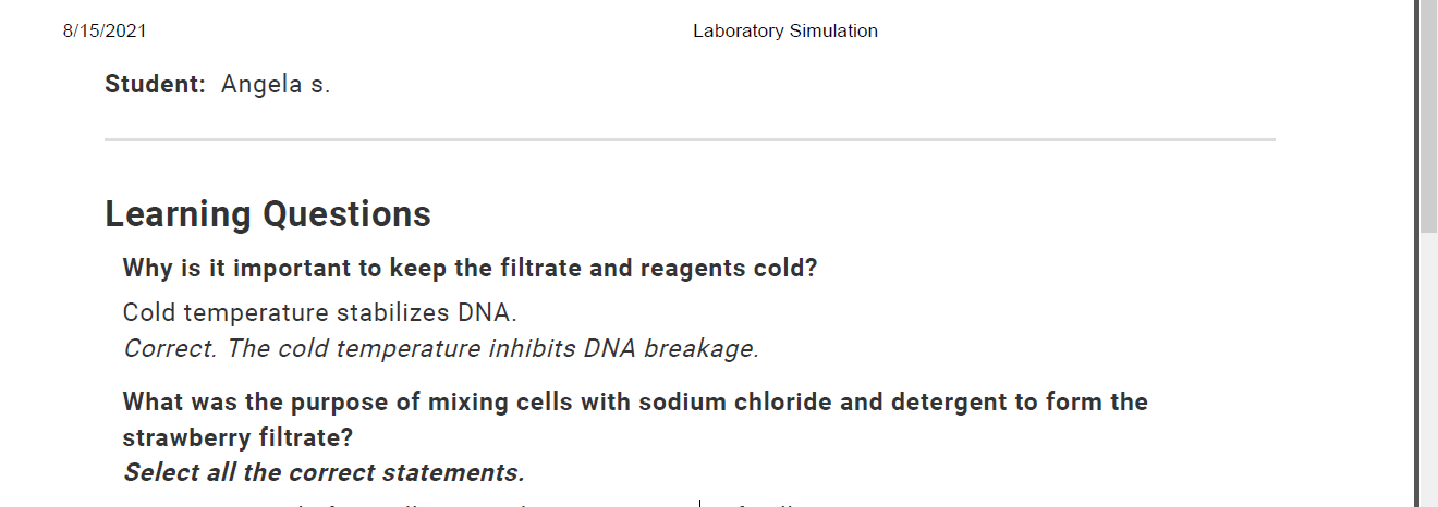 Isolation of DNA Lab